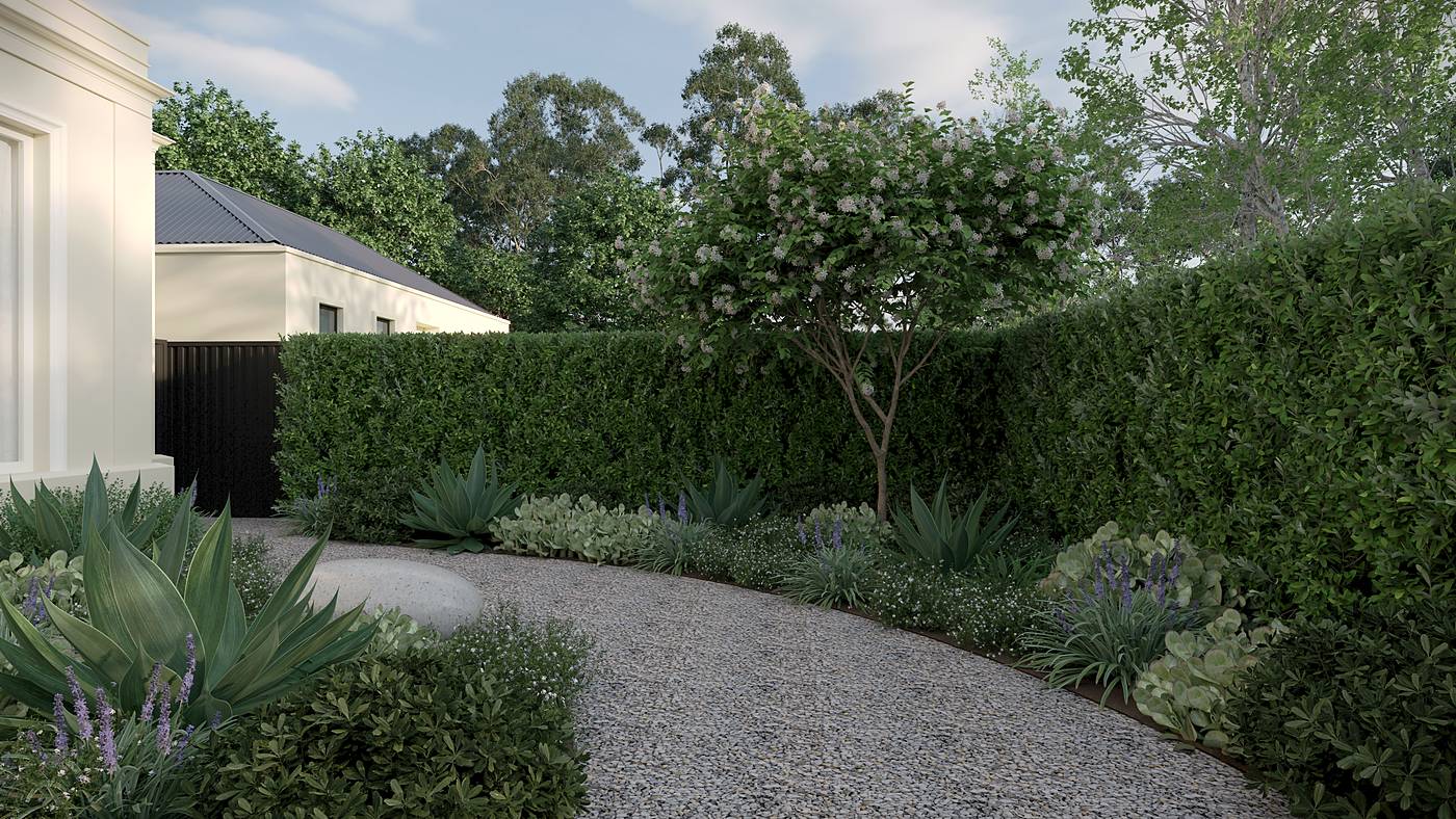 Bonview Road, Malvern, Melbourne. 3D render of the landscape design