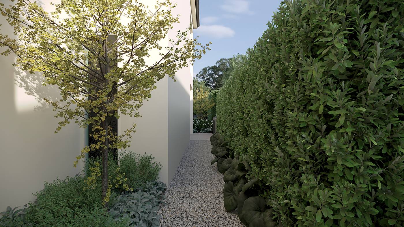 Bonview Road, Malvern, Melbourne. 3D render of the landscape design