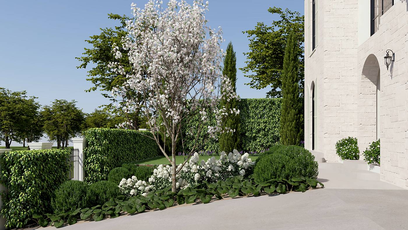 Brunel Street, Malvern East, Melbourne. 3D render of the landscape design