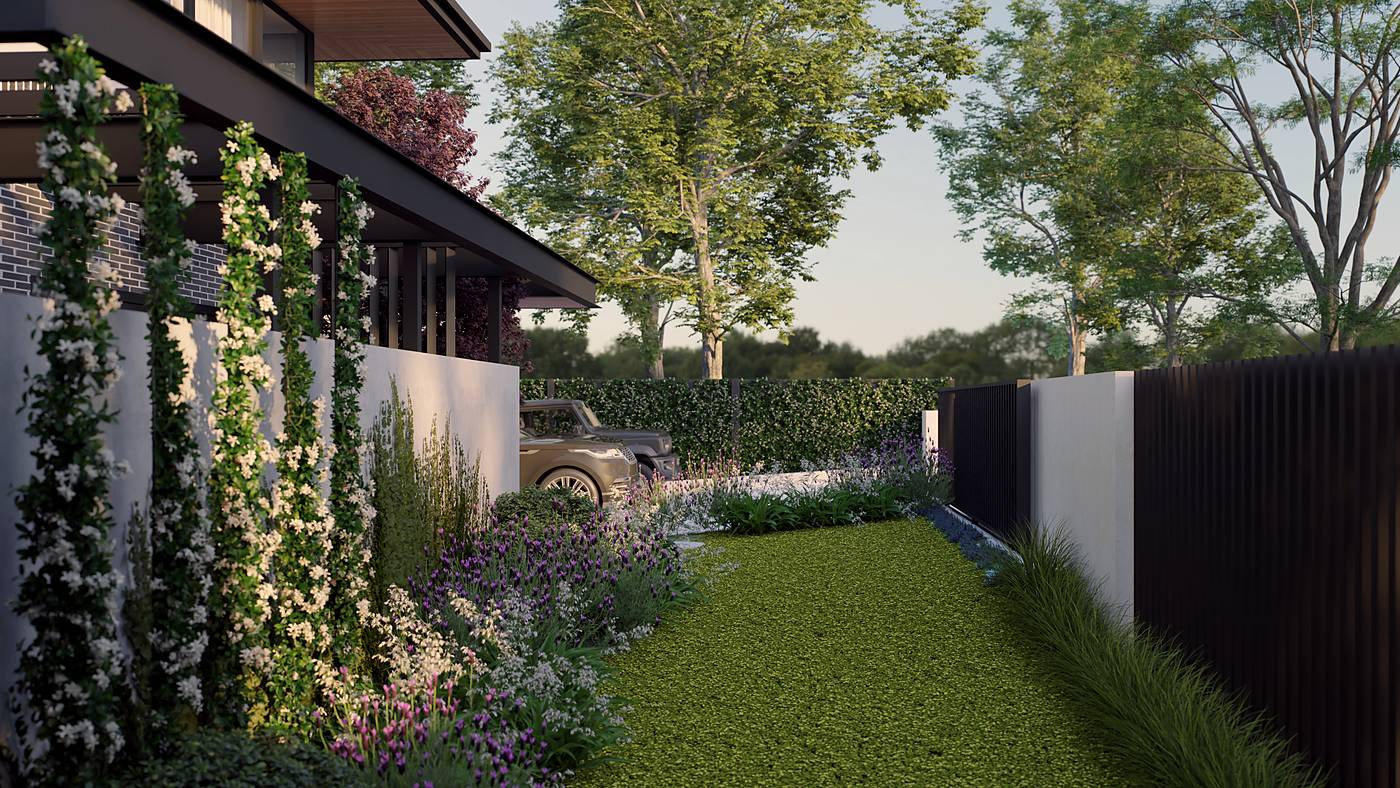 Elgin Street, Berwick, Melbourne. 3D render of the landscape design