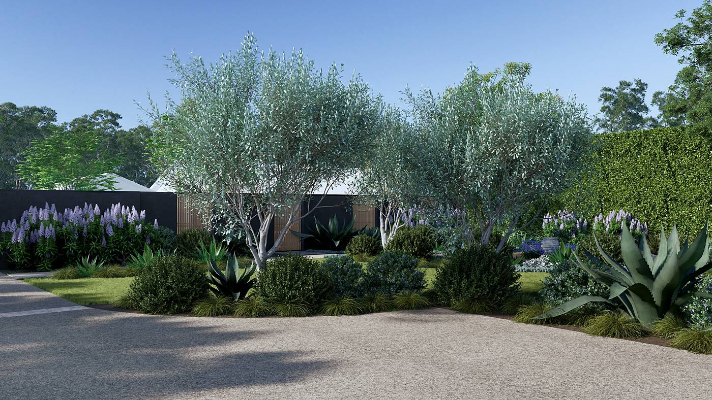 Olive Avenue, Harkaway, Melbourne. 3D render of the landscape design