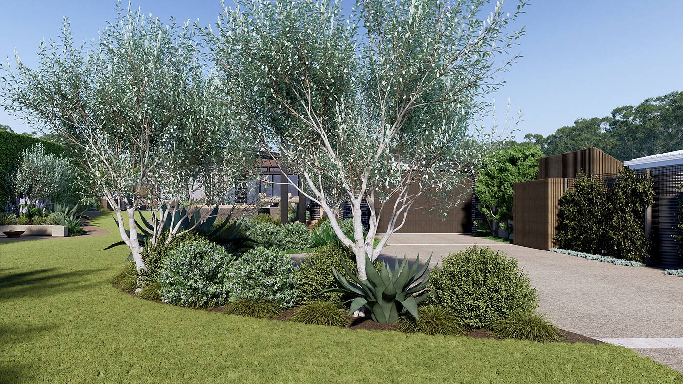 Olive Avenue, Harkaway, Melbourne. 3D render of the landscape design
