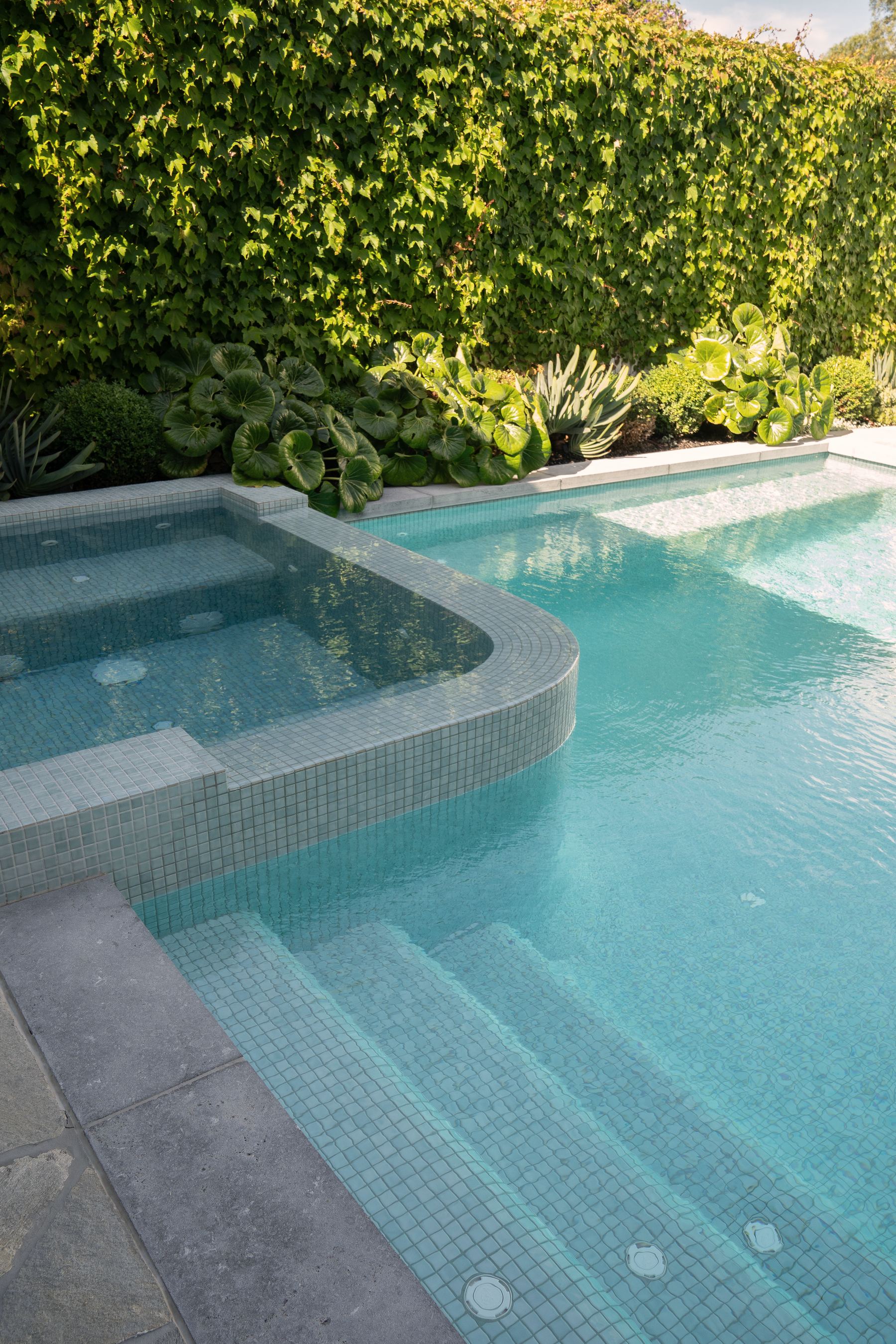Williamstown. A lap pool with a tiled stepped entry, hedged on every side.